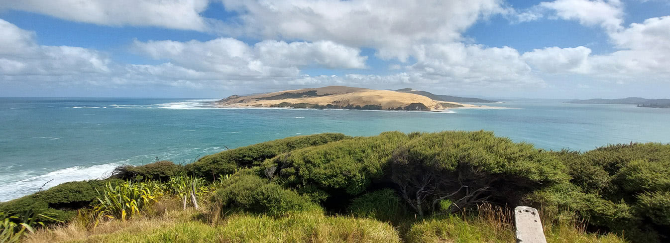 Von Giganten und Massen in Neuseeland